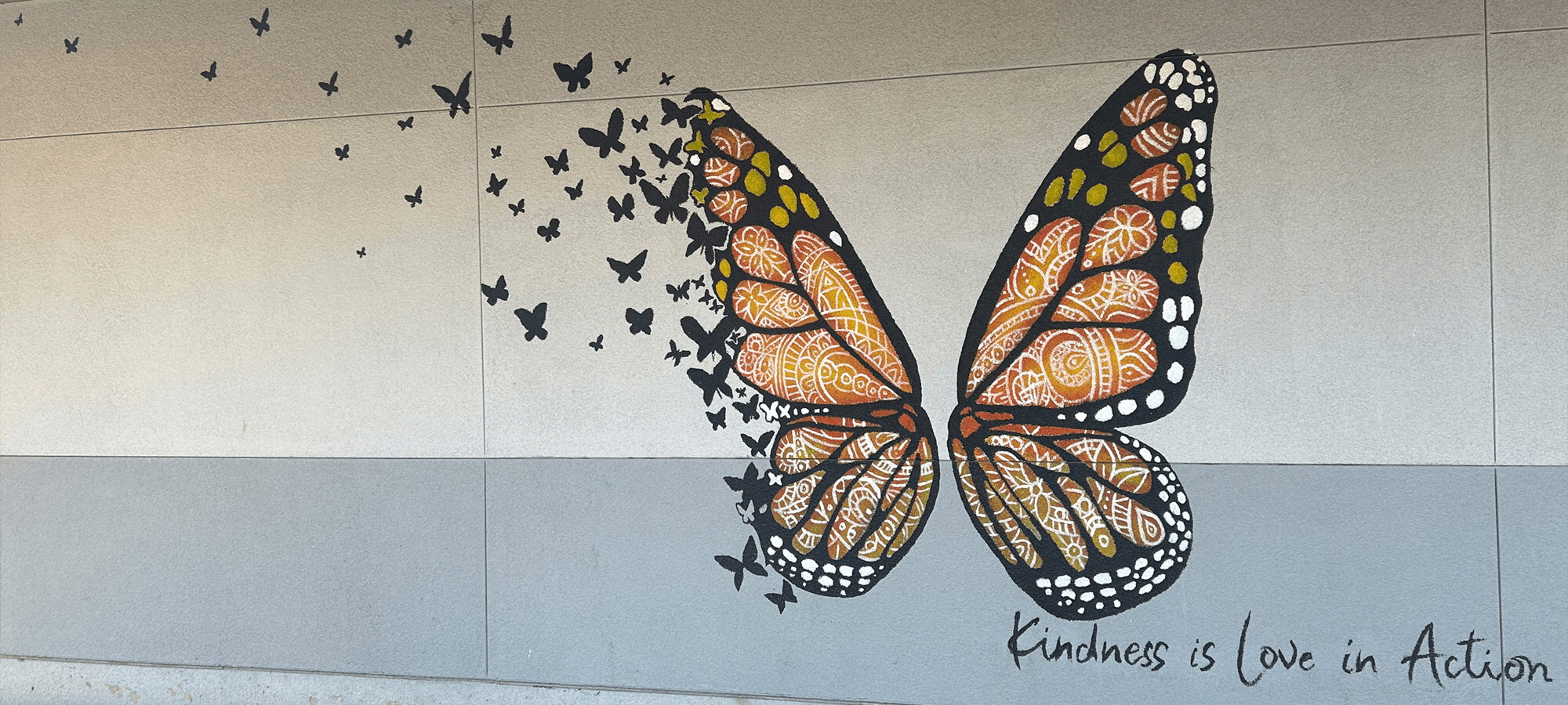 FTHS_ButterflyMural_2000x900_SM